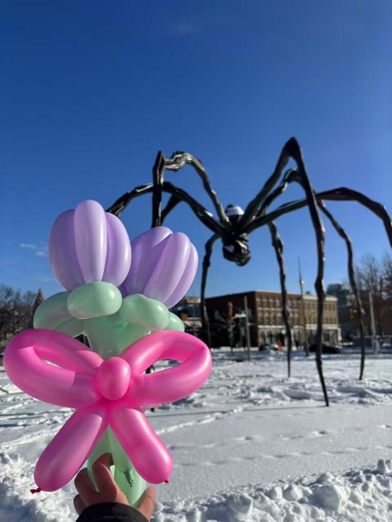 Ottawa 圖片 20260125024036