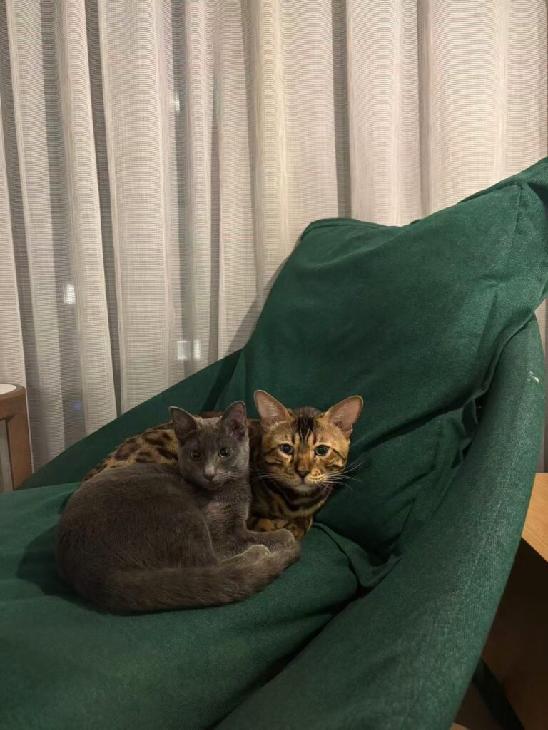 Ottawa 圖片 20260126015722